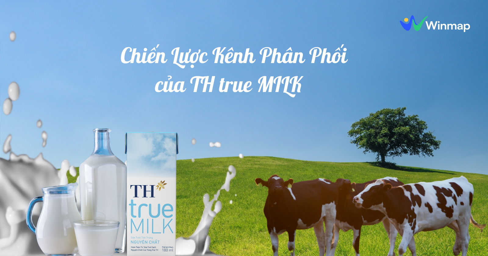 Chiến lược phân phối của TH true Milk