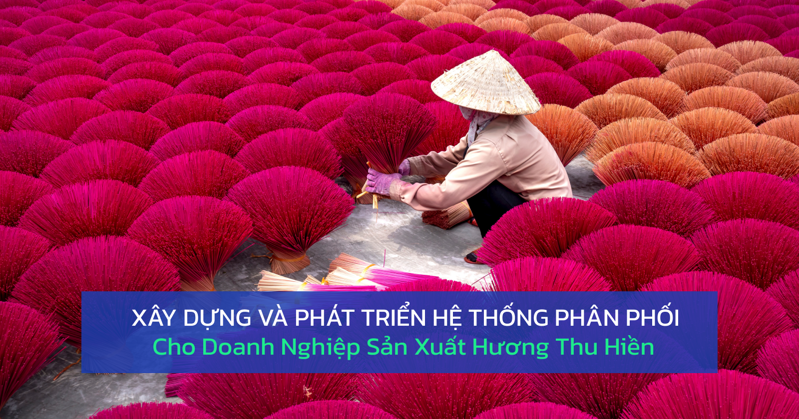 xay-dung-he-thong-phan-phoi-cho-he-thong-cho-doanh-nghiep-san-xuat-huong-thu-hien